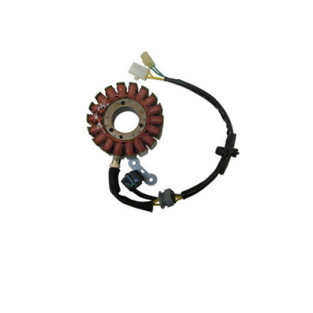 Stator Magnete Kymco Xciting - People ie 250-300 2007-2014 | MotoGM