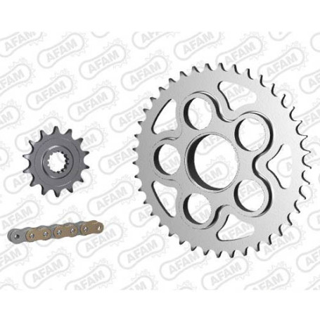 Kit trasmissione afam MV Agusta Brutale 750 2001-2002 passo standard