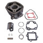 Cylinder Blast Minarelli Nitro, Aerox F12 LC, 50cc Cylinder Blast Minarelli Nitro, Aerox F12 LC, 50cc