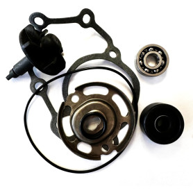 Kit revisión bomba de agua Yamaha XMAX 125, Xcity 125 | MotoGM