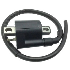 Bobina de encendido Blast para Minarelli 50: Yamaha Aerox y Neos, MBK Booster y Nitro, Ovetto, Aprilia SR