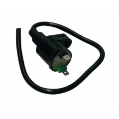 Blast Zündspule für Honda SH 50 und 125, Dylan, Piaggio Beverly 125, Gilera Runner und Aprilia Scarabeo 125