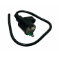 Bobine d’allumage Blast pour Honda SH 50 et 125, Dylan, Piaggio Beverly 125, Gilera Runner et Aprilia Scarabeo 125 Bobine d’allumage Blast pour Honda SH 50 et 125, Dylan, Piaggio Beverly 125, Gilera Runner et Aprilia Scarabeo 125