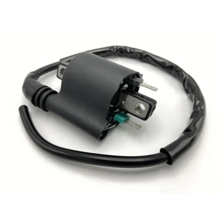 Bobine d’allumage Blast pour Honda SH 125i-150i et SH Mode, Integra et NC 700-750, X-ADV 750, Yamaha X-Max 400