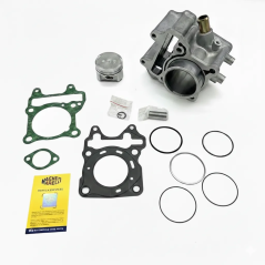 Cylindre complet Magneti Marelli pour Honda SH 125 2013-2020, PCX 125 2013-2018