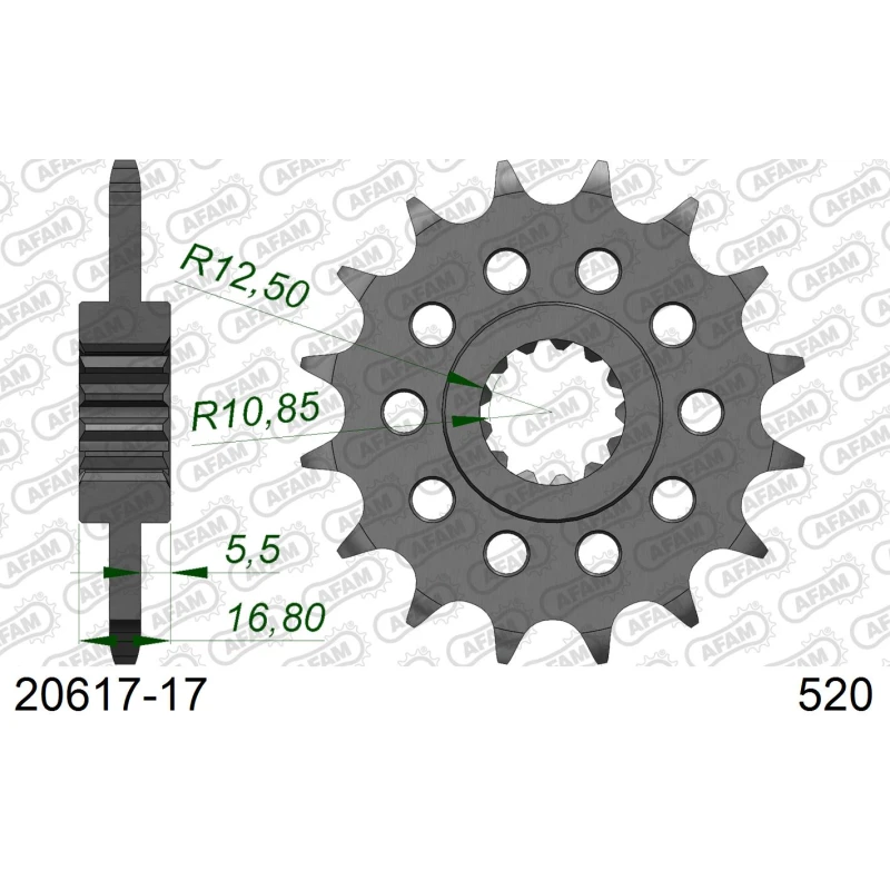 Afam Ritzel 17 Zähne für 520er Kette, Honda X-ADV 750 2017-2025, Forza 750 2021-2023, Integra 750, NC 750 und NC 750 X
