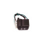 BCR elektronische CDI-Zündeinheit für Beta Ark und Malaguti F10, F12, Centro