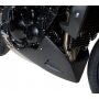 Puntale motore  Barracuda per Triumph Speed Triple 1050 11-