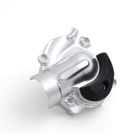Schutz Pumpe acqua evotech für Ducati Monster 821, Monster 1200, Diavel