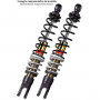 Ammortizzatori posteriore Bitubo YGB, Piaggio X9 250 EVOLUTION 1 coppia