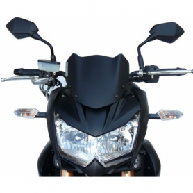 Fabbri screen Naked for Kawasaki Z 750 R 11- | MotoGM