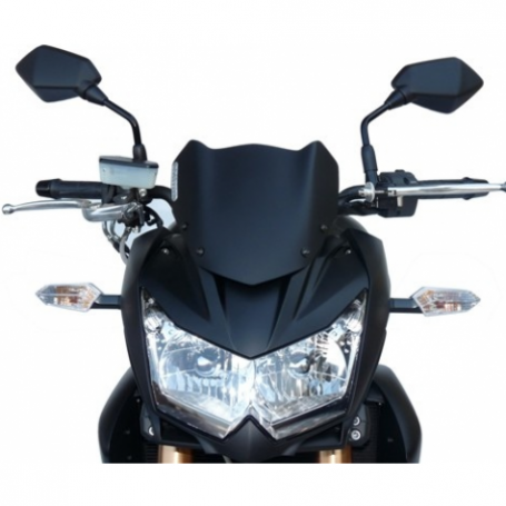 Fabbri screen Naked for Kawasaki Z 750 R 11- | MotoGM