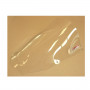 Bulle Fabbri "Solo Pista" Transparent pour Kawasaki ZX-6 00-02