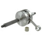 Kurbelwelle Motoforce Racing für Piaggio sp. Ø 12