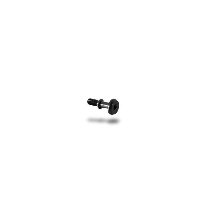 Lightech ergal special screw 1024 for carter T-MAX 500, T-MAX 530 (1 pcs)