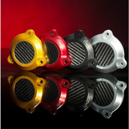 Protection de bras oscillant en Ergal et carbone Lightech pour Yamaha T-MAX 530