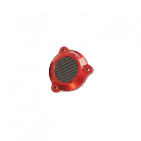 Schutz Stift forcellone  Lightech aus Ergal/Carbon für Yamaha T-MAX 530