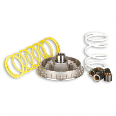 Malossi variator Multivar 2000 Honda Foresight 250, Peugeot SV 250, Piaggio X9 250