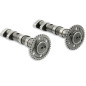 Arbre a cames Malossi DOUBLE POWER CAM YAMAHA T MAX 530 12-