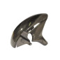 Schutzblech vorne Carbon Lightech für Honda CBR 600 RR 07-