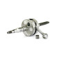 Kurbelwelle spalle piene Carenzi Evolution minarelli orizzontale sp.10