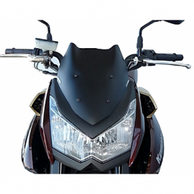 Fabbri Naked screen for Kawasaki Z 1000 07-09 | MotoGM