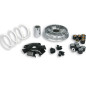 Malossi Variator Multivar 2000 for Aprilia, Piaggio, Gilera 125/150 Engine Leader