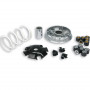Variatore Malossi Multivar 2000 per Aprilia, Piaggio, Gilera 125/150 Motore Leader