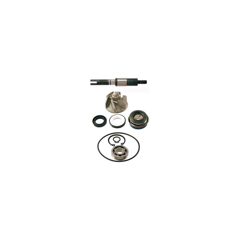 KIT PUMP H2O Honda SH 125-150 01-08
