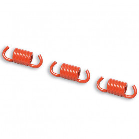 Kit muelles Malossi  Embrague delta y fly clutch rosse 29 8743B | MotoGM