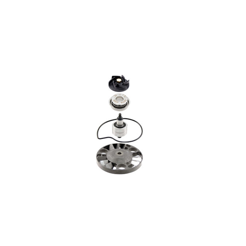 Wasserpumpen-Reparatursatz Aprilia Atlantic-scarabeo-sport city 125,Piaggio beverly-X8-X9 125, gilera nexus 125 RMS