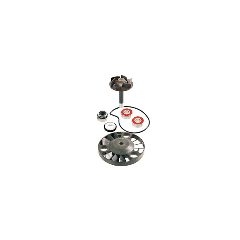 Wasserpumpen-Reparatursatz Gilera DNA, Runner 125, runner 180, Piaggio Berverly 125, X9 evo 125