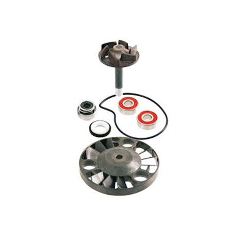 KIT PUMP H2O Gilera DNA, Runner 125, runner 180, Piaggio Berverly 125, X9 evo 125