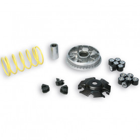 Malossi Variator Multivar 2000 for MBK Skycruiser/Skyliner/Thunde | MotoGM