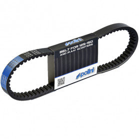 Antriebsriemen variatore Polini für Honda SH 125/150,@/ Dylan 12… | MotoGM
