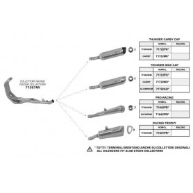 Terminal Arrow Thunder Homologado Aluminio para Honda Hornet 600… | MotoGM