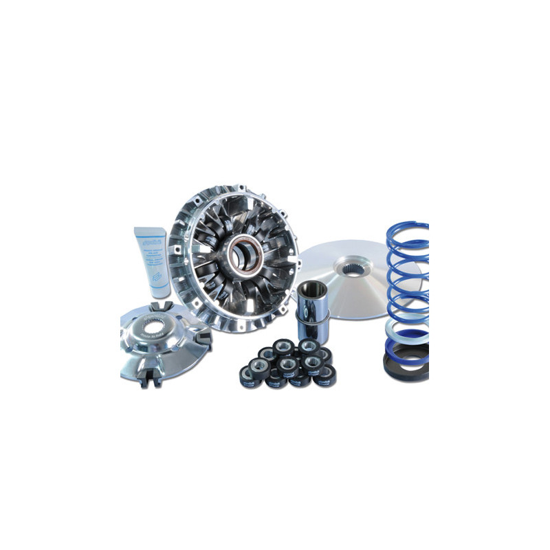 Variator Polini HI-Speed Evo 3 für Yamaha T-Max 500 Variator Polini HI-Speed Evo 3 für Yamaha T-Max 500