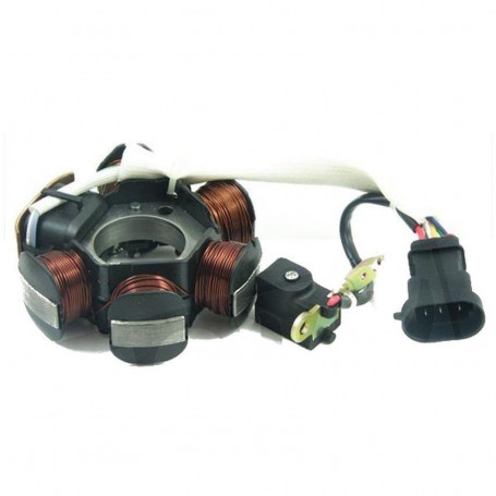Stator Piaggio 50 NRG MC3-LIBERTY ZIP-FLY | MotoGM