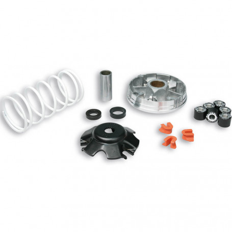 Variatore Malossi Multivar per motori Piaggio 50 cc