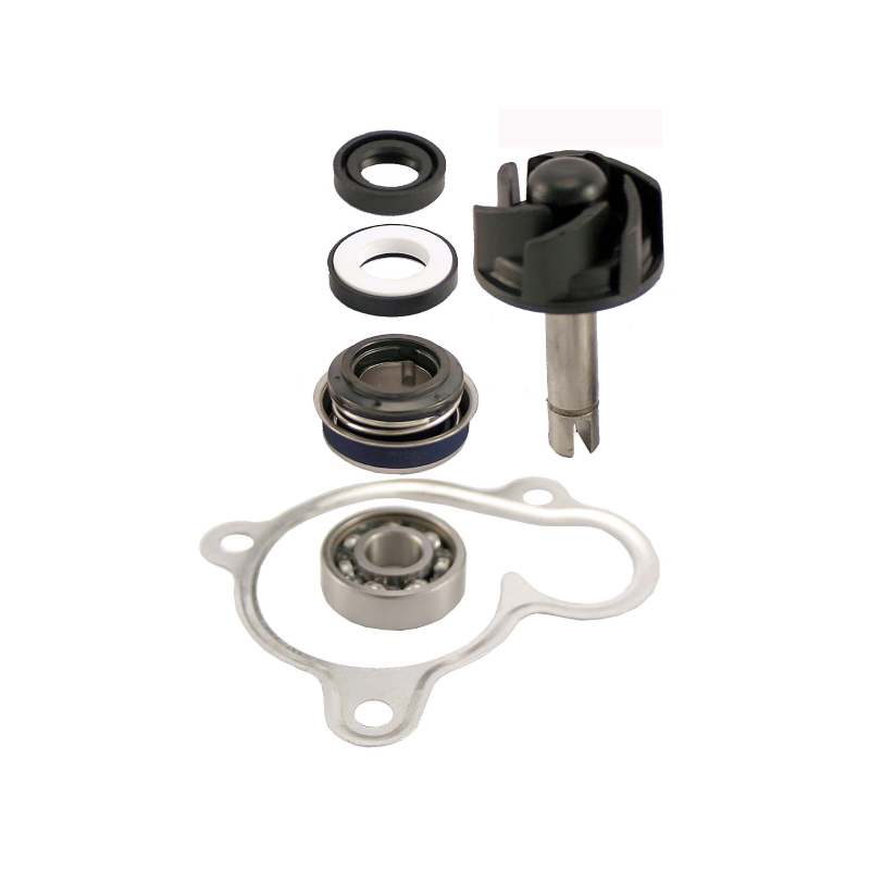 Kit revisión bomba de agua Yamaha XMAX 250, Majesty 250