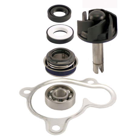Kit revisión bomba de agua Yamaha XMAX 250, Majesty 250 | MotoGM