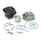 Top Performance fundición 70 CC Piaggio/Gilera H2O
