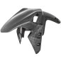 Schutzblech vorne Carbon Lightech Kawasaki Z 900 17-20