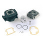Top Performance fundición 50 CC, Ø 40 Minarelli Orizzontale aire para SR 94-, Gulliver, Rallye, Scarabeo 50,Ovetto, Mach, Neo's, Jog