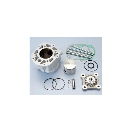 Cilindro completo Polini para Derbi Senda, GPR 50 (mot D50B0)  8… | MotoGM