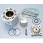 Kompletter Zylinder Polini für Derbi Senda, GPR 50 (mot D50B0)  80 cc Ø 50 H2O, sp. Ø 12