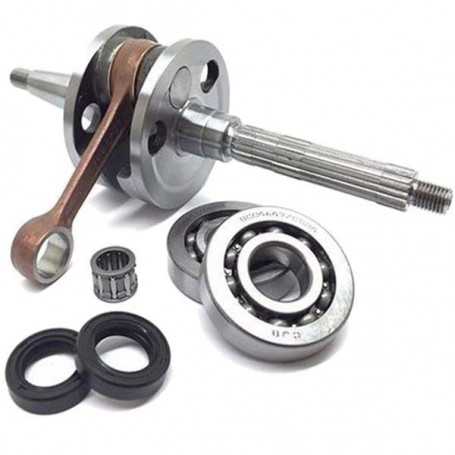 Albero motore Top  con cuscinetti per Piaggio Gilera 50cc 2t