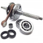 Top crankshaft whit crank bearings for piaggio gilera 50cc 2T IM07060