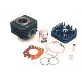 Top Performance fundición 50 CC Piaggio aire para Aprilia Scarab… | MotoGM