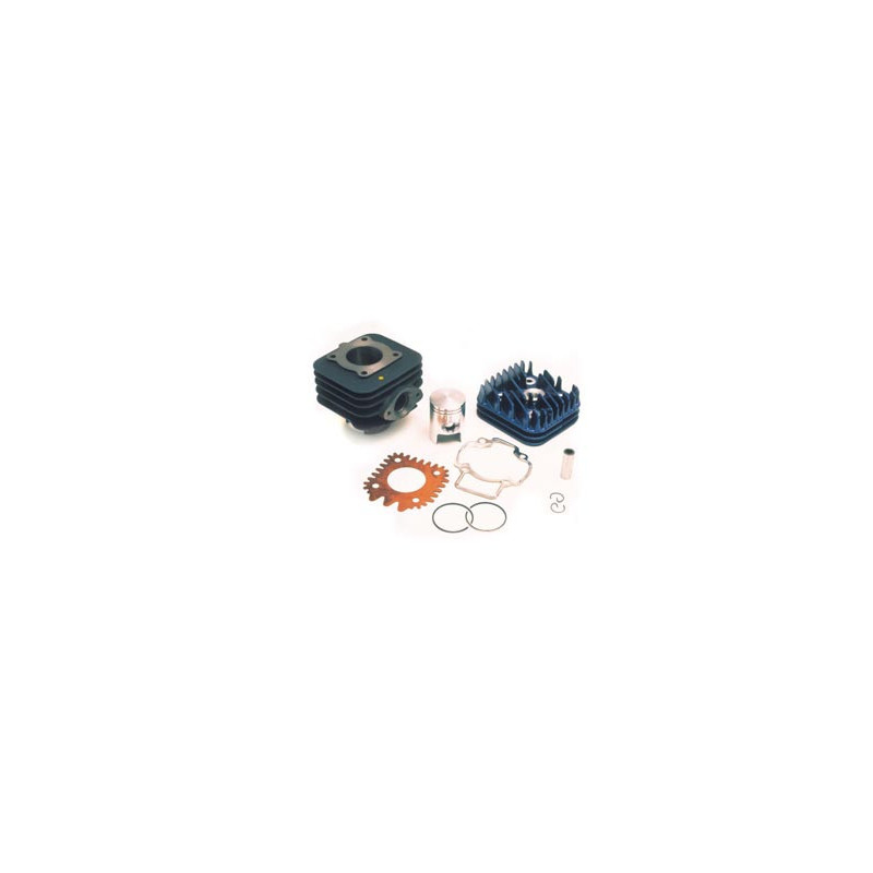 Top Performance Guss 50 CC Piaggio Luft für Aprilia Scarabeo 50, Gilera Stalker, Typhoon, Piaggio NRG, Sfera, Zip, Vespa ET2